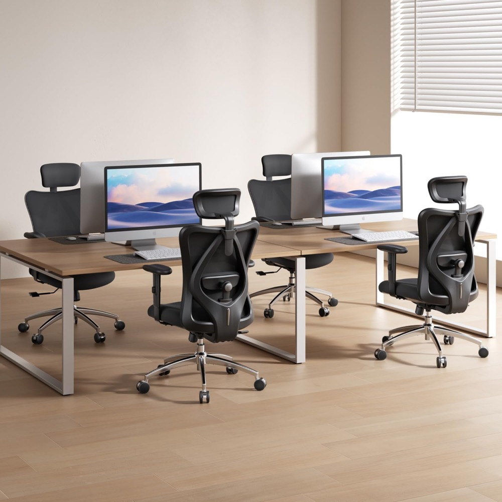 인체공학적 메쉬 데스크 의자, 조절 가능한 요추 지지대 - Ergonomic Office Chair 리뷰 및 가격